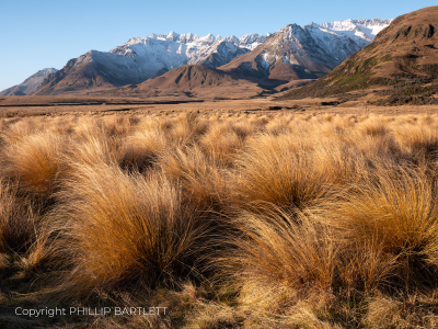 Fiordland New Zealand Photo Tour