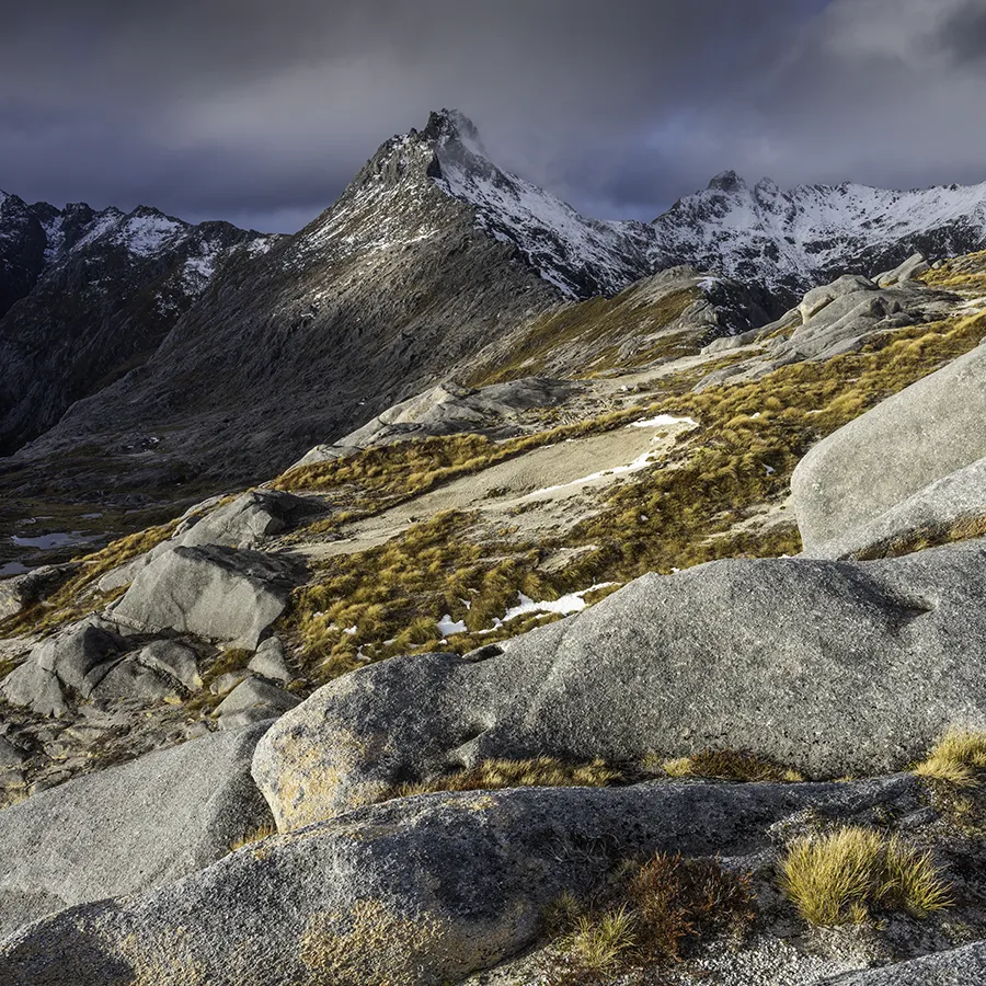 Photo Workshops Fiordland